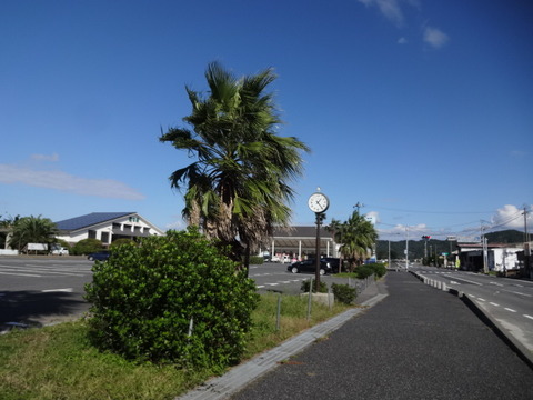 DSC09502