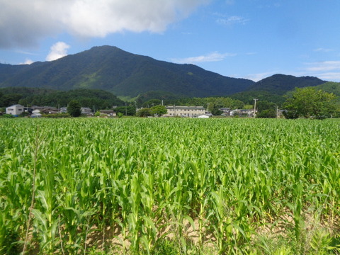 DSC08817