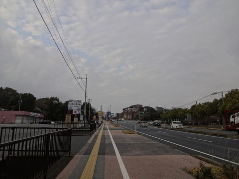 DSC04444