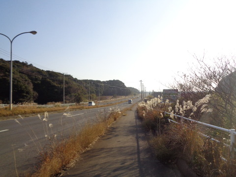DSC08054