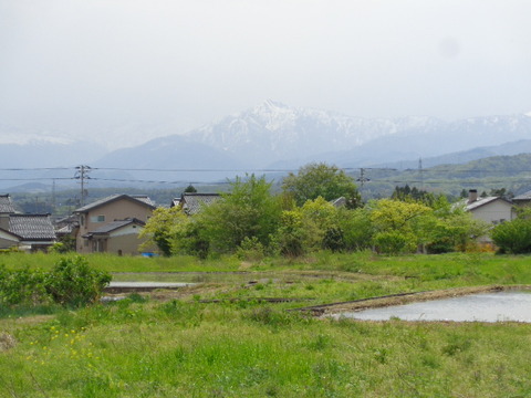 DSC05153