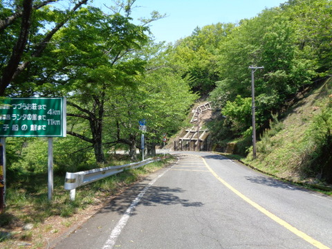 DSC03066