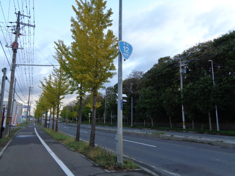DSC03552