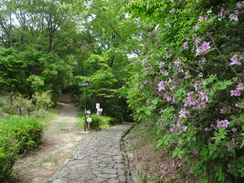 DSC07033