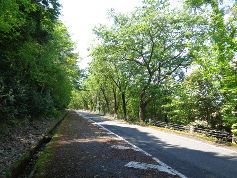 DSC03016