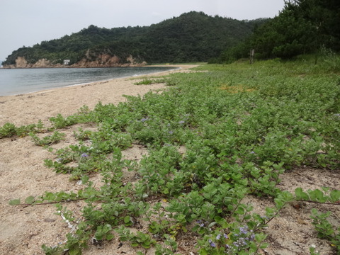 DSC09625