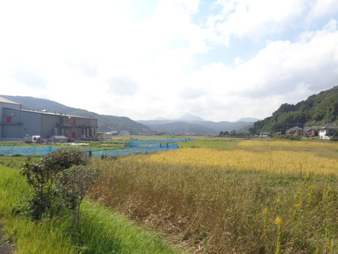 DSC09795