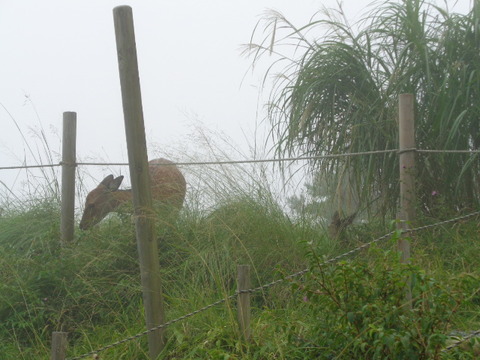 DSC05374