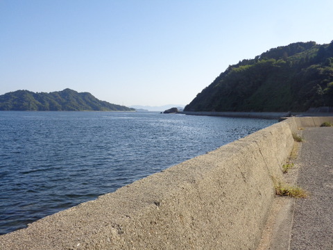 DSC09561