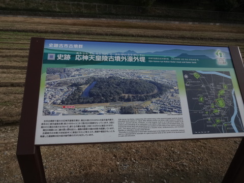 DSC01219
