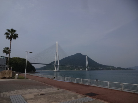 DSC07238
