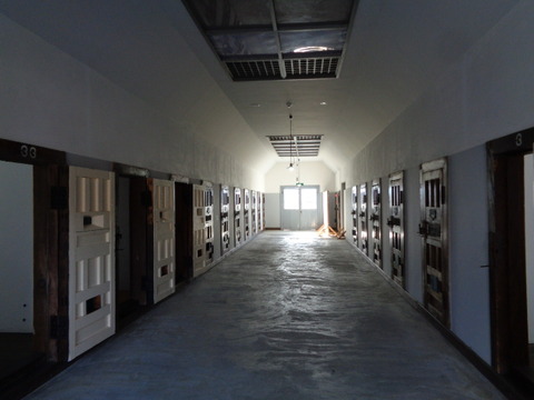 DSC07548