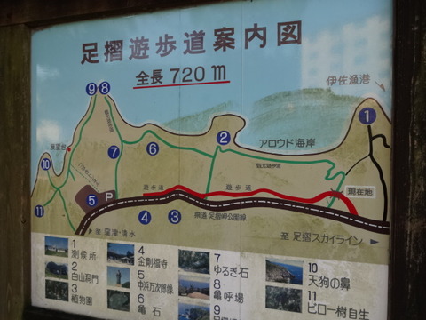 DSC02161