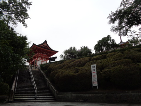 DSC09965