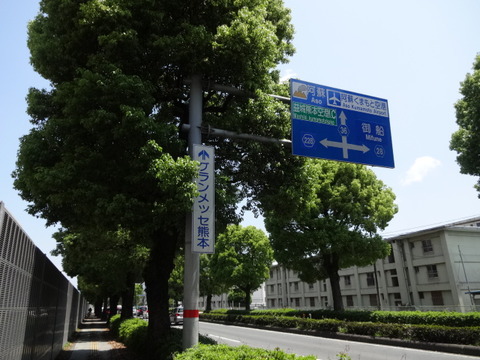 DSC04956