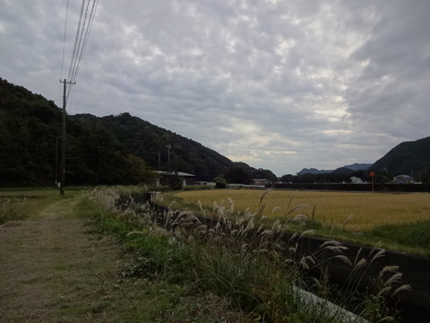 DSC00664