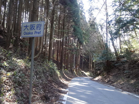 DSC04039