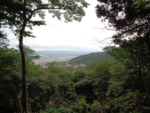 DSC01216