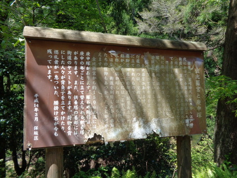 DSC03394