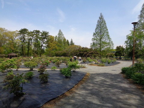 DSC01578