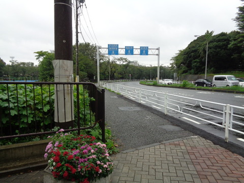 DSC05808