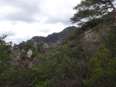 DSC04316