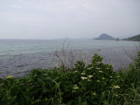 DSC05469