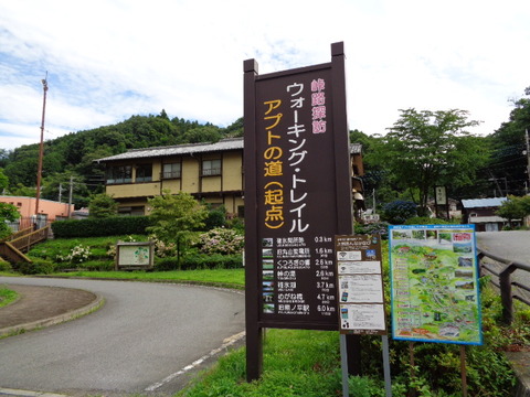 DSC09178