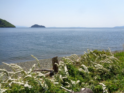 DSC03102