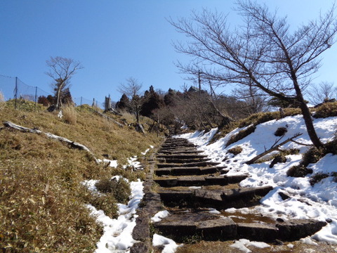 DSC04175