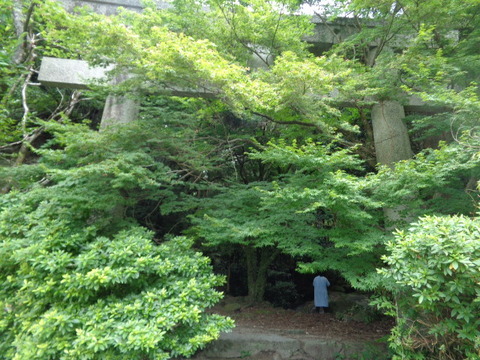 DSC06718