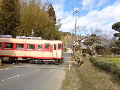 DSC02246