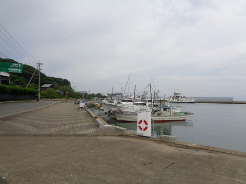 DSC01130