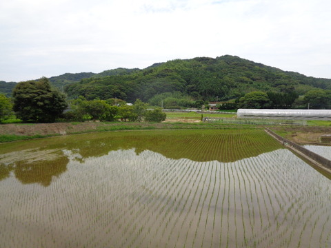 DSC07027