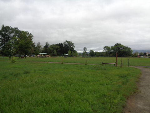 DSC04105