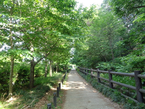 DSC00356