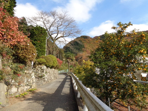 DSC04198