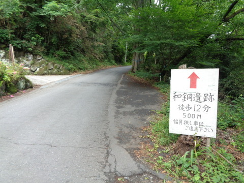 DSC02551