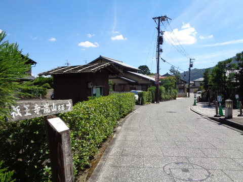 DSC01997