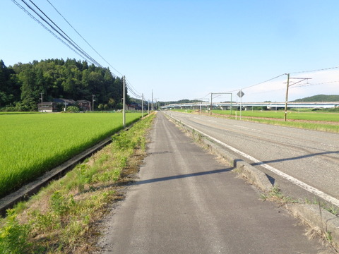 DSC08488