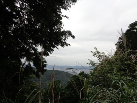 DSC05306