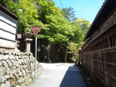 DSC01979
