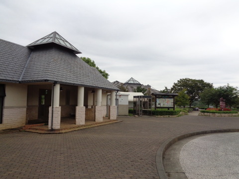 DSC05279