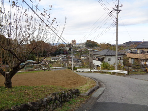 DSC04234