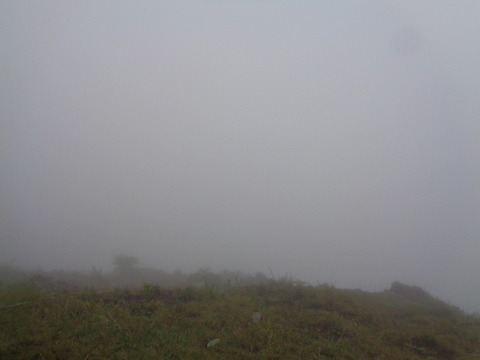 DSC05394