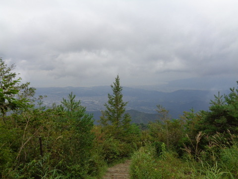 DSC05411