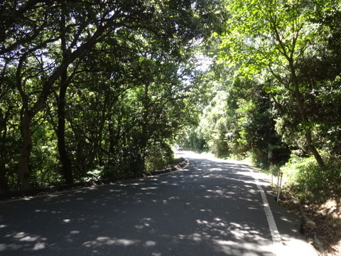 DSC09913