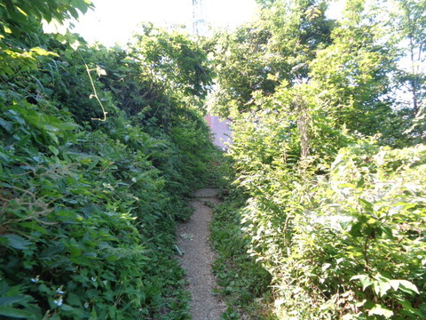 DSC08701