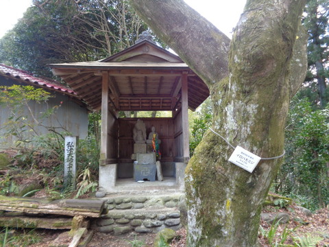 DSC05499