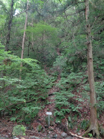 DSC02575
